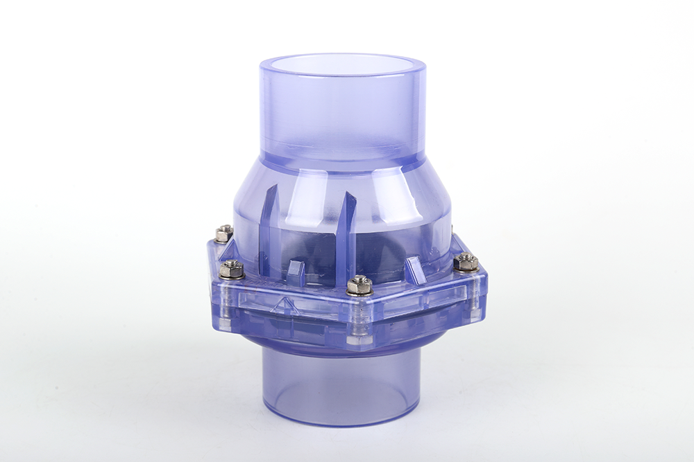 沉湖管委会透明翻板式止回阀